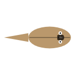 Size: Large